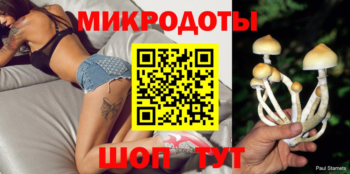Кольчугино  Псилоцибиновые грибы MAGIC MUSHROOMS  Вход с VPN  Галлюциногенные грибы Cubensis 